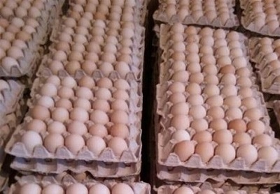 هر شانه تخم مرغ ۳۵ هزار تومان