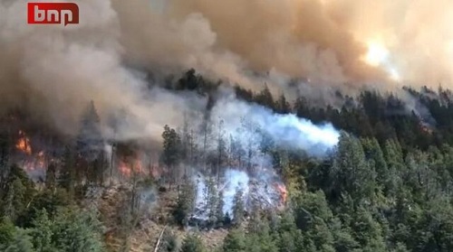 آتش‌سوزی گسترده در جنگل‌های آرژانتین